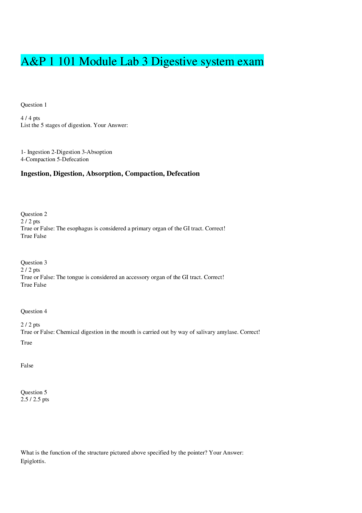 Preview image for A&P 1 101 Module Lab 3 exam 3 Digestive system